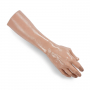 SALE - A Pound of Flesh Right Hand + Lower Arm thumbnail